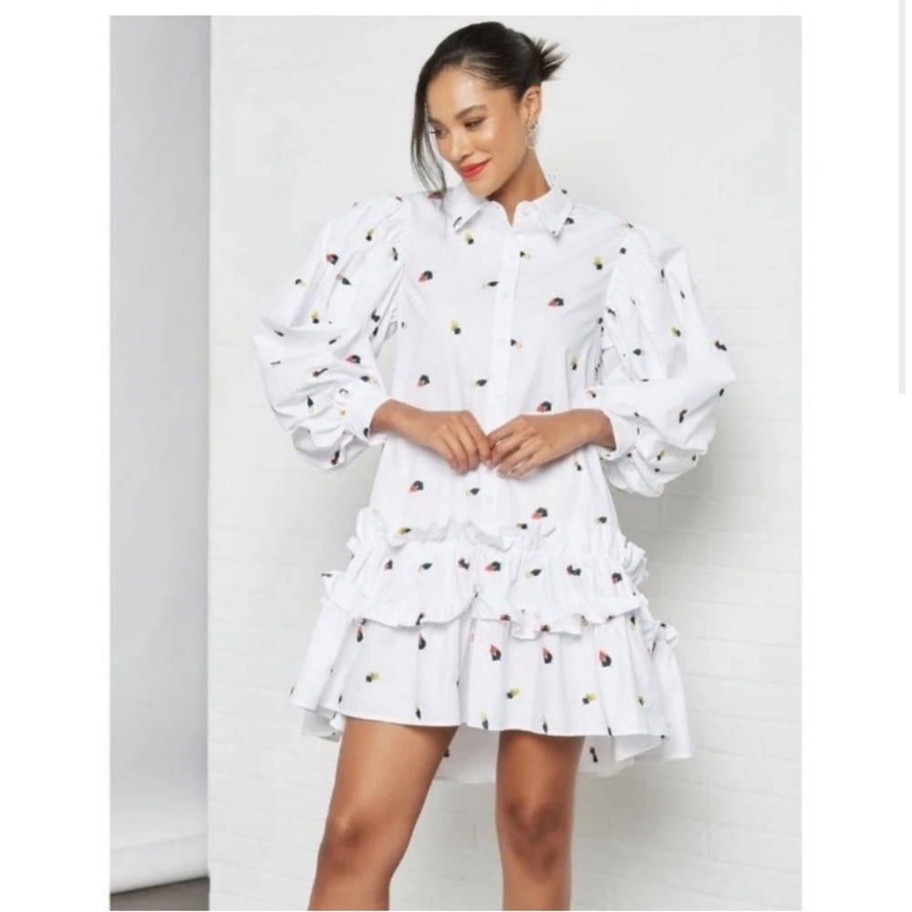 NWT Sister Jane Dress

White poplin ruffled dress with floral embroidery